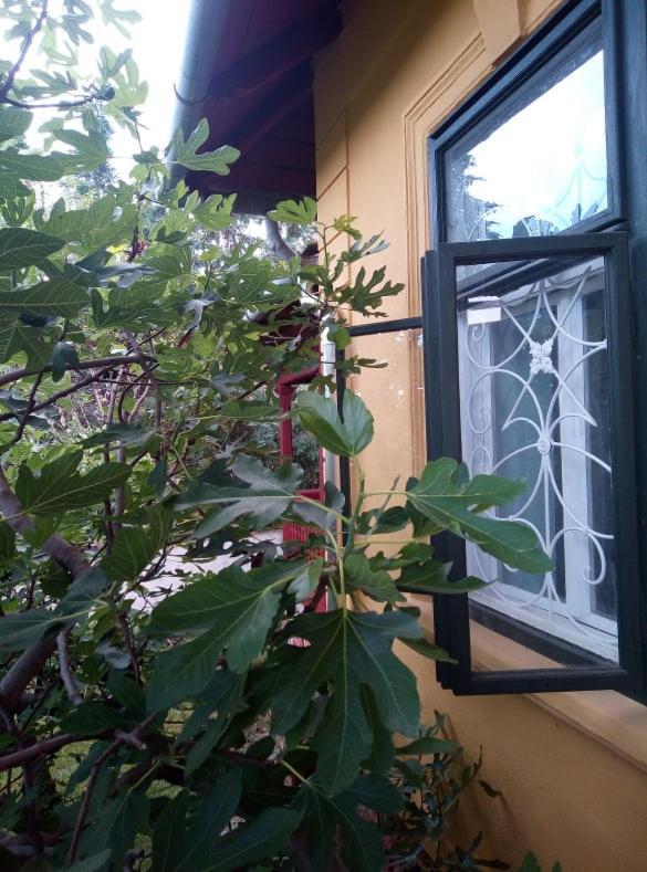 Villa Kundalini Balatonalmádi Exterior foto